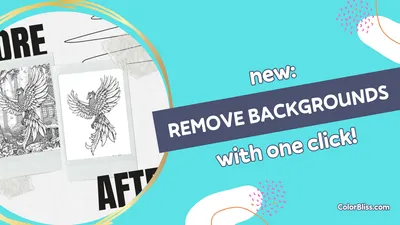 One Click Background Removal
