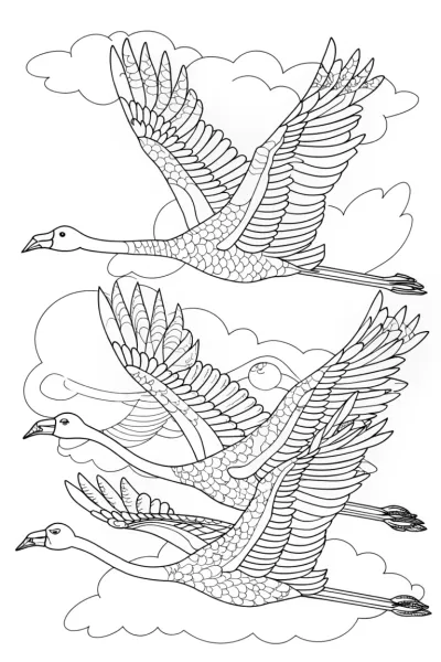 Flamingos learning to fly